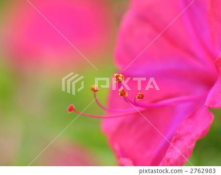 Osloi burner Osloi burner 2762983