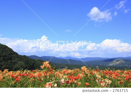 Dyna Land Yurien 2763715