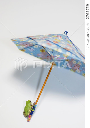 To have an umbrella 2763759