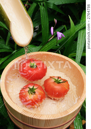 番茄冷卻自來水 2764786