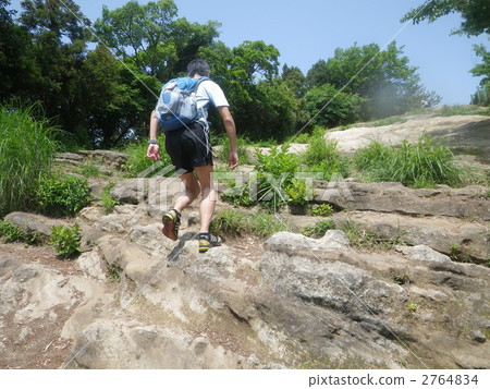 Trail run 2764834
