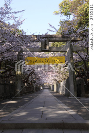 Kagawa prefecture Nakadatsu-gun Kotohira Town Omotesando Sakuraba is seen from the east (Daimon) side 2765111