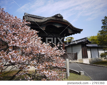 京都世界遺產Ninna-ji Temple Omoi Sakura和Tectonic Armour 2765360