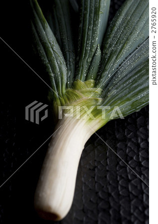 shimonita leek, shimonita spring onion, welsh... - Stock Photo [2765920