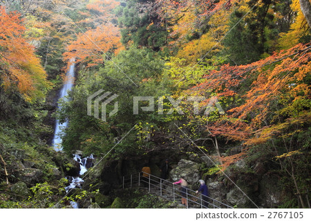 Yoro no Waterfall Yoro no Waterfall 2767105