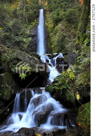 Yoro no Waterfall Yoro no Waterfall 2767129