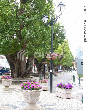 Taipa Village, Macao 2768148