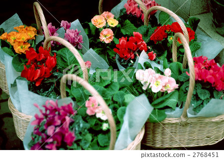 66265 flower basket 66265 flower basket 2768451
