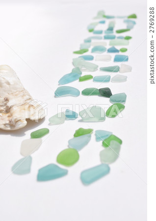 seashell, shell, cool-looking 2769288