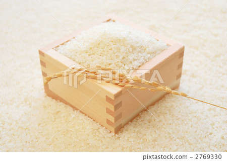 飯 飯 2769330