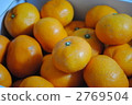 Mandarin orange 2769504