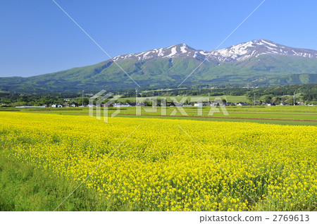 Fuji descent, Chokaiyama 2769613