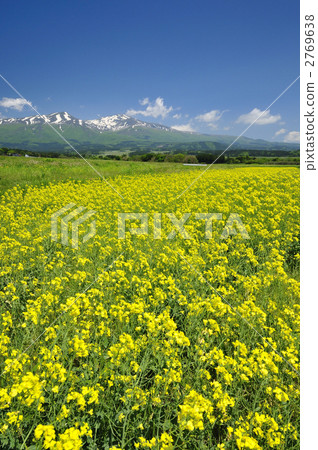 富士山，Chokaiyama 2769638