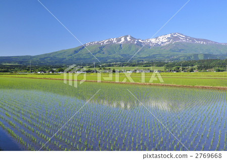 富士山，Chokaiyama 2769668