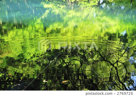 Chokai Mountain泉先生·Maruboi女士 Chokai Mountain泉先生·Maruboi女士 2769728