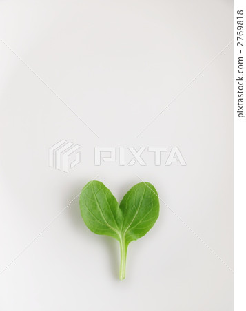 Heart shaped Pino green 2769818