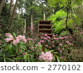 Muroji寺和杜鵑花的五層塔 2770102