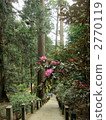 Muroji Temple Okunoin 2770119