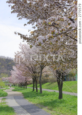 菅原河綠地 2770579