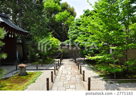 Daitokuji Temple Daitokuji Temple 2771183
