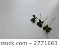 三葉草的四片葉子3 2771663