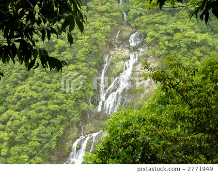 Tangyo Falls（風景） 2771949
