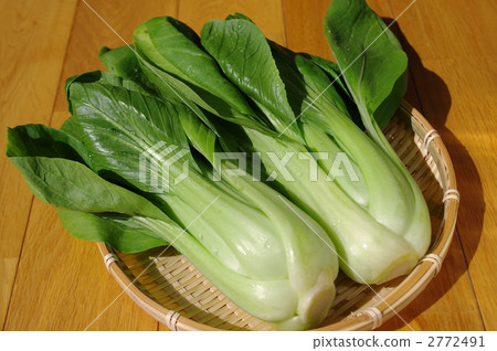 白菜 2772491