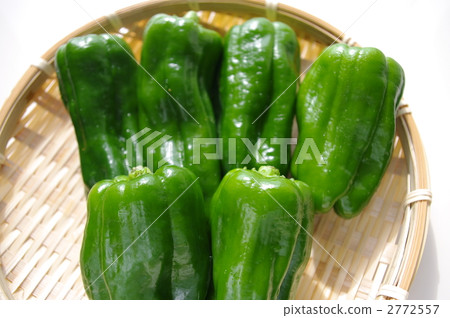 green pepper  2772557