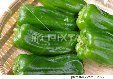 green pepper  2772560