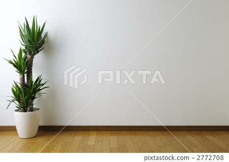 觀賞植物的房間 觀賞植物的房間 2772708