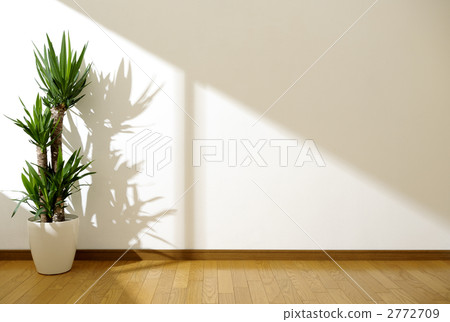 Room with ornamental plants Room with ornamental plants 2772709