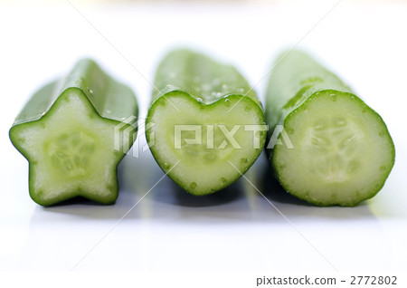 各種黃瓜 2772802
