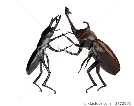 雄鹿甲蟲和甲蟲 2772995
