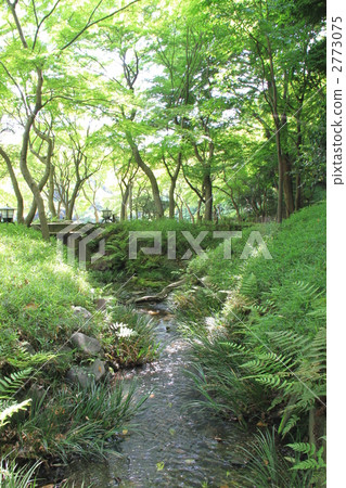 Koishikawa Korakuen Koishikawa Korakuen 2773075