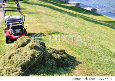 Lawn mowing in the park Lawn mowing in the park 2773544