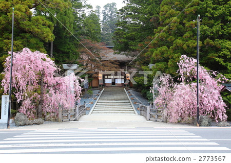 Koyasan Souichiyama goldengeji寺廟 Koyasan Souichiyama goldengeji寺廟 2773567