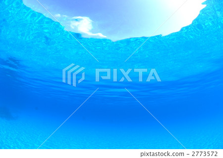 In the shallow seas 2773572