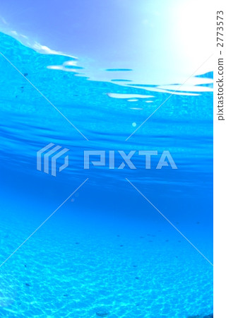 In the shallow seas 2773573