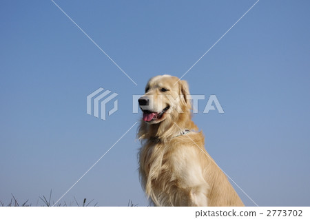 Autumnal weather 2773702