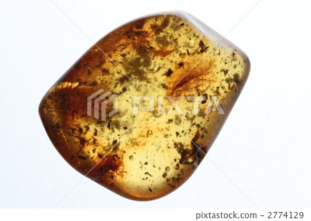 amber amber 2774129