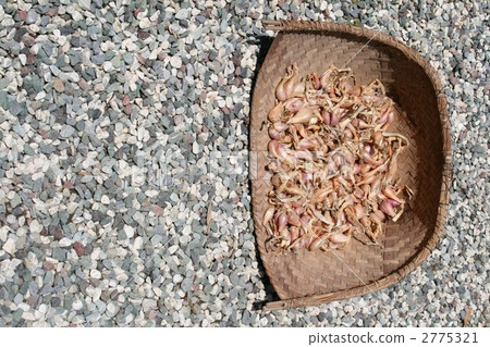 Wakagi 007 (bulb) 2775321