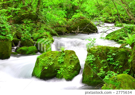 新鮮的綠色Oirase小河 2775634