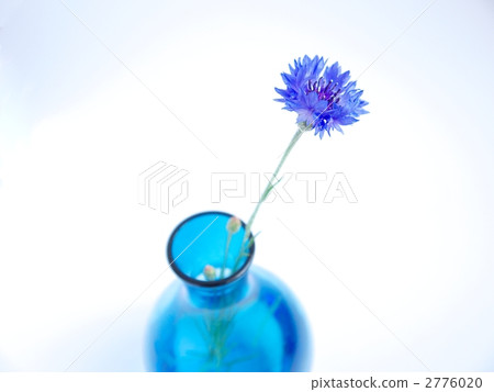 Blue flowers and vases 2776020