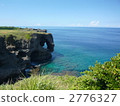 an elephant trunk, an elephant's trunk, elephant trunk 2776327