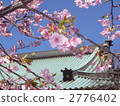 在早春遊蕩的寺廟 2776402