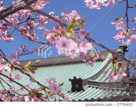 在早春遊蕩的寺廟 在早春遊蕩的寺廟 2776402