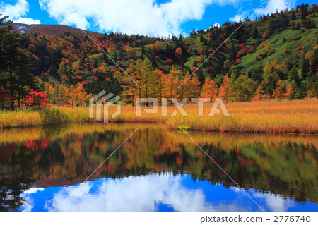 Autumn leaves of Yoshigami Mire Autumn leaves of Yoshigami Mire 2776740
