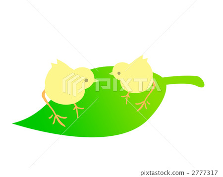 chick, hatchling, young bird 2777317