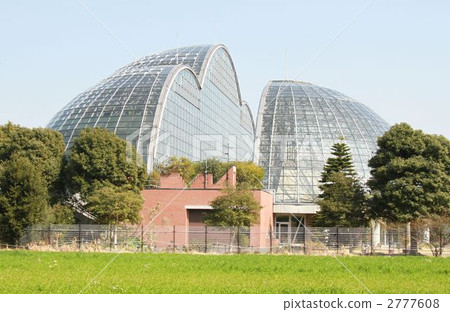 Shinkiba植物園 Shinkiba植物園 2777608