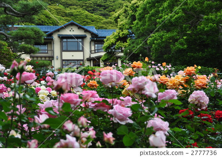Rose garden of Kamakura literature building Rose garden of Kamakura literature building 2777736